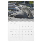 Elsie Mae Calendar Kalender (Mar 2027)