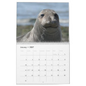 Elsie Mae Calendar Kalender (Jan 2027)