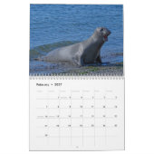Elsie Mae Calendar Kalender (Feb 2027)