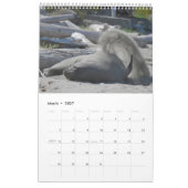 Elsie Mae Calendar Kalender (Mar 2027)