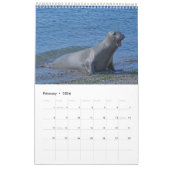 Elsie Mae Calendar Kalender (Feb 2026)
