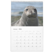 Elsie Mae Calendar Kalender (Jan 2026)