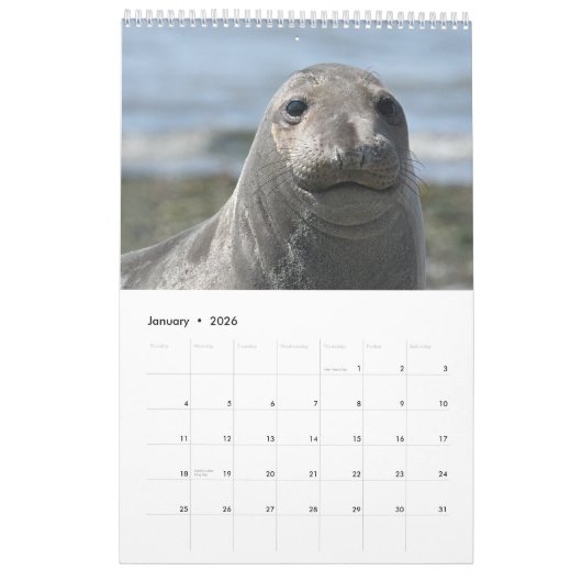 Elsie Mae Calendar Kalender (Jan 2026)