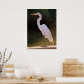 Elusief wit poster (Keuken)