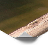 Elusief wit poster (Hoek)