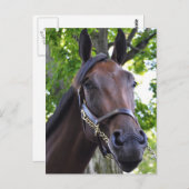 Elusieve kwaliteit, niet beschikbaar briefkaart (Voorkant / Achterkant)