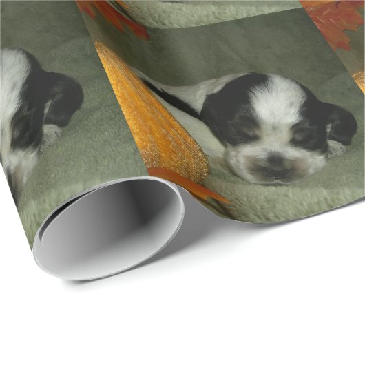 ELVIS, Blue roan &tan american cocker spaniel pup Cadeaupapier (Rol Hoek)