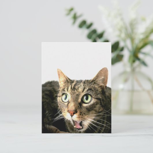 Elvis Briefkaart (Staand voorkant)