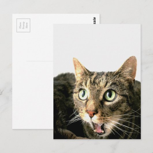 Elvis Briefkaart (Voorkant / Achterkant)