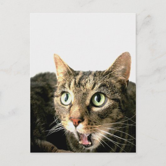 Elvis Briefkaart (Voorkant)