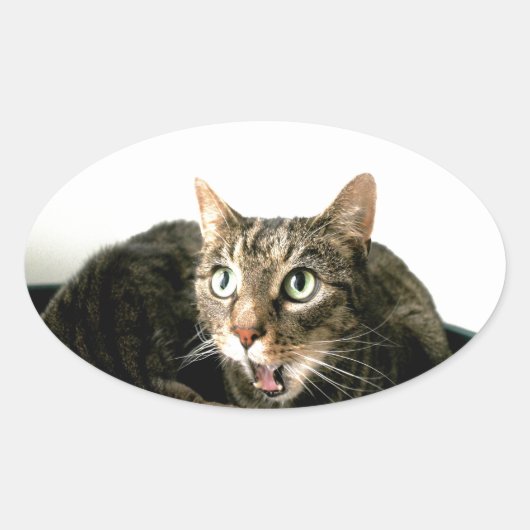 Elvis Ovale Sticker (Voorkant)