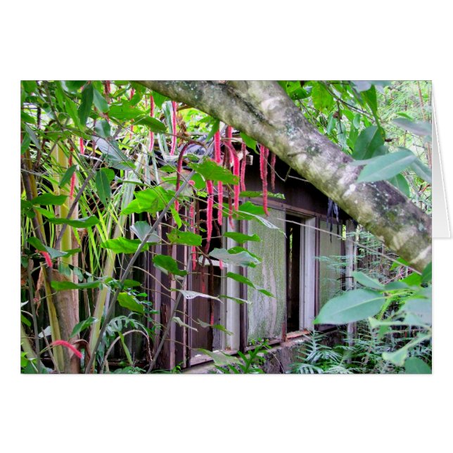 Elvis Presley Bungalow (Voorkant Horizontaal)