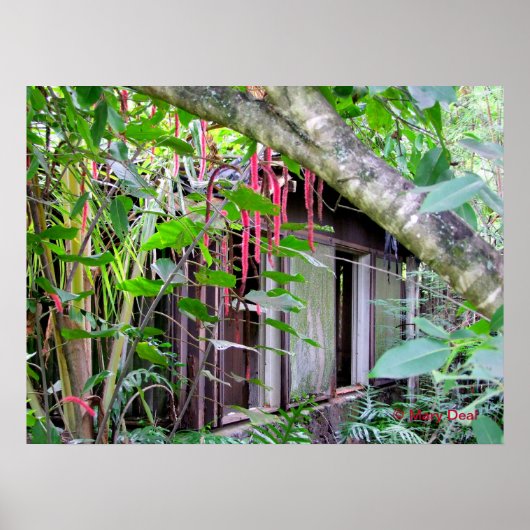 Elvis Presley Bungalow Poster (Voorkant)