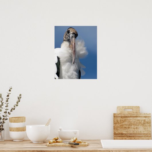 Elvis - Wood Stork Poster (Keuken)