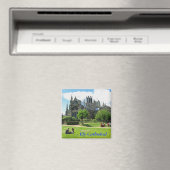 Ely Cathedral Magneet (Insitu (Vaatwasser))