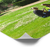 Ely Cathedral Poster (Hoek)