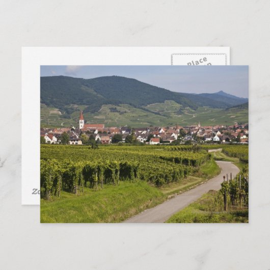 Elzas, Frankrijk Briefkaart (Voorkant / Achterkant)