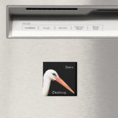 Elzas, Straatsburg Magneet (Insitu (Vaatwasser))