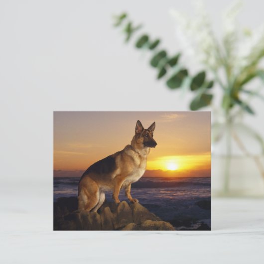 Elzasser hondendier briefkaart (Staand voorkant)
