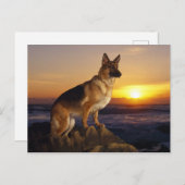 Elzasser hondendier briefkaart (Voorkant / Achterkant)