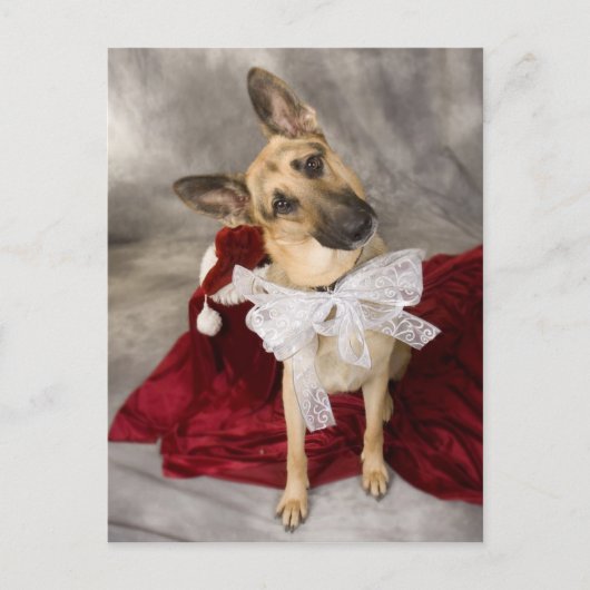 Elzasser Kerstmis Feestdagenkaart (Voorkant)