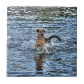 Elzassisch German Shepherd Dog-lover Gift Tegeltje (Voorkant)