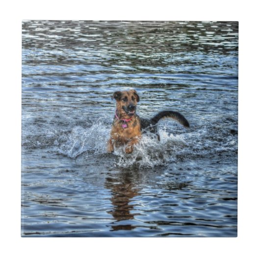 Elzassisch German Shepherd Dog-lover Gift Tegeltje (Voorkant)