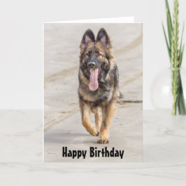 Elzassische de Hond van de Duitse herder van de Kaart