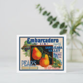 Embarcadero Fancy Santa Clara Pears Briefkaart (Staand voorkant)