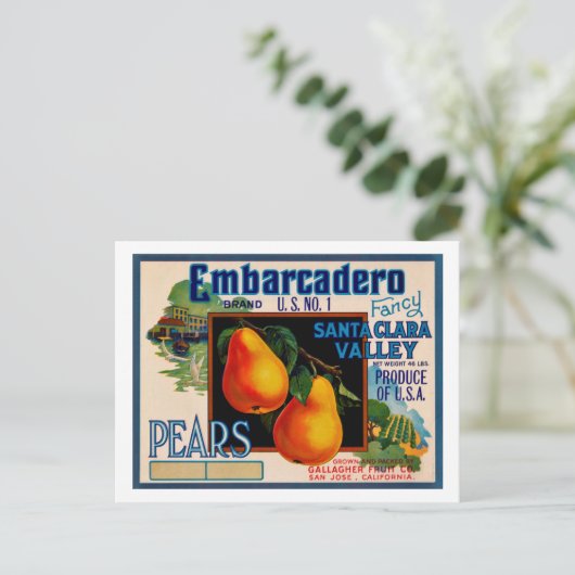 Embarcadero Fancy Santa Clara Pears Briefkaart (Staand voorkant)