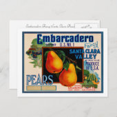 Embarcadero Fancy Santa Clara Pears Briefkaart (Voorkant / Achterkant)