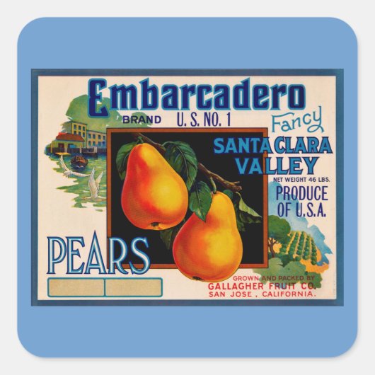 Embarcadero Fancy Santa Clara Pears Vierkante Sticker (Voorkant)