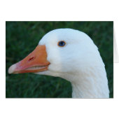 Embeden Goose (Voorkant Horizontaal)