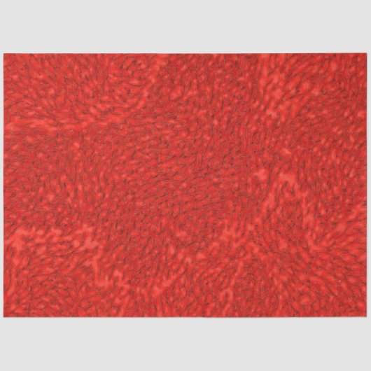 Ember Pulse-cadeaupapier 02 Tissuepapier (Voorkant)