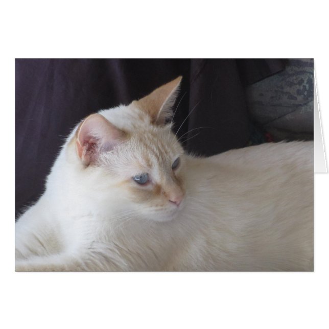 Ember serene (Voorkant Horizontaal)