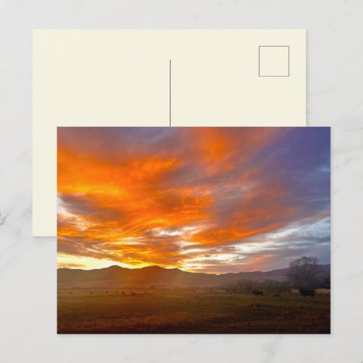 Ember Sky Briefkaart (Voorkant / Achterkant)