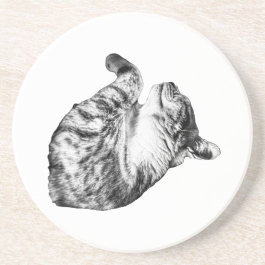 Ember-Step Spint Zandsteen Onderzetter (Voorkant)