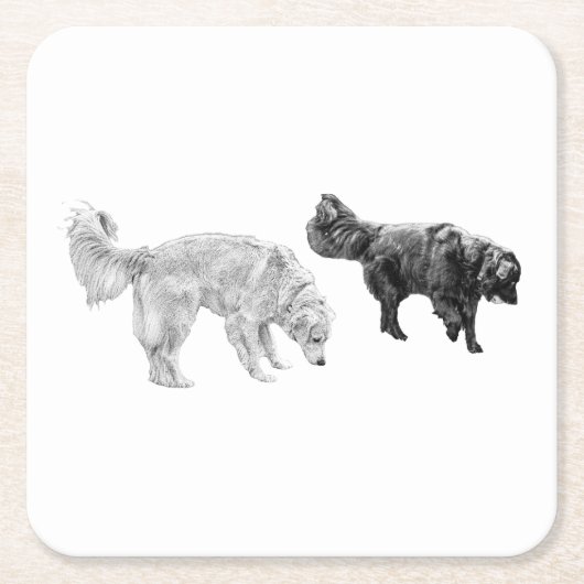 Ember Tafel, Scentwork Scene Kartonnen Onderzetters (Voorkant)
