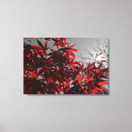Embers of Autumn Canvas Afdruk