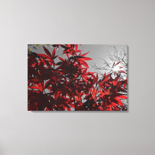 Embers of Autumn Canvas Afdruk (Voorkant)