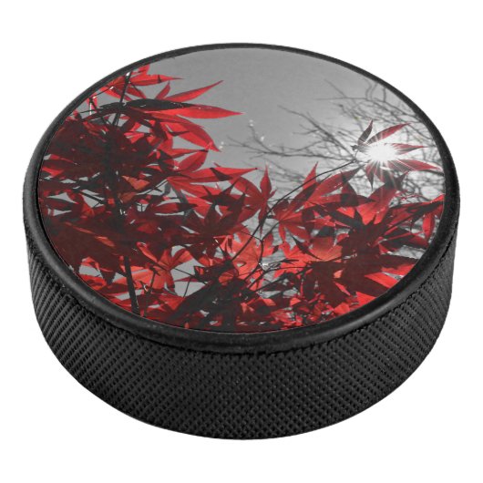 Embers of Autumn Hockey Puck (3/4)