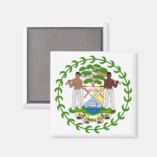 embleem magneet (Voorkant / Achterkant)