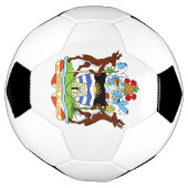 embleem van antigua en barbuda voetbal (Gedraaid)