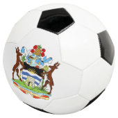 embleem van antigua en barbuda voetbal (Drie kwart)