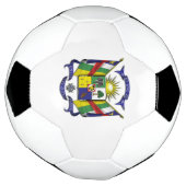 embleem van de centraal - afrikaanse republiek voetbal (Gedraaid)