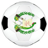 embleem van guatemala voetbal (Gedraaid)