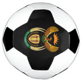 embleem zuid - afrika voetbal (Gedraaid)