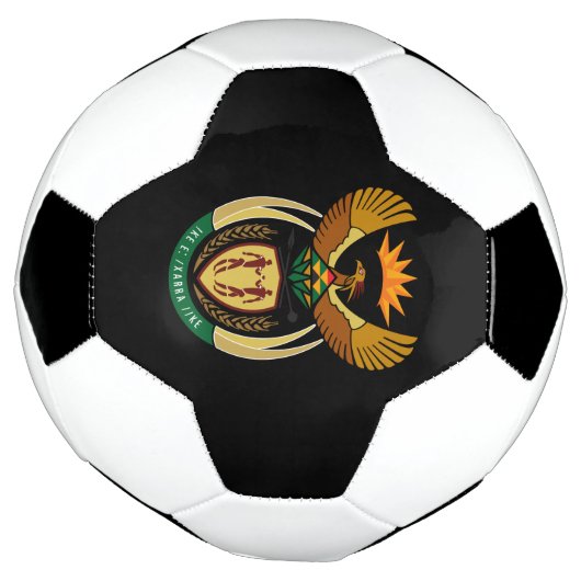 embleem zuid - afrika voetbal (Gedraaid)