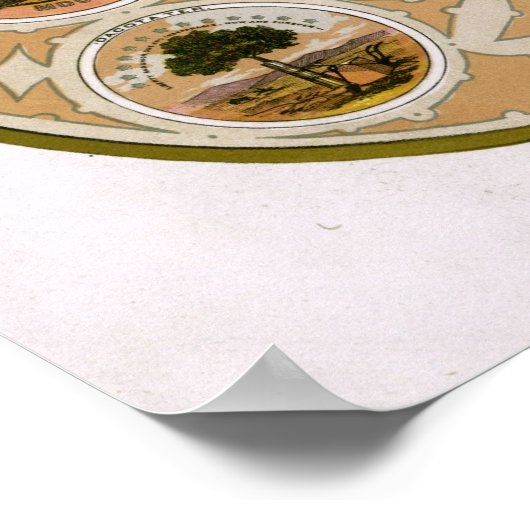 Emblemen van de Verenigde Staten 1876 Poster (Hoek)