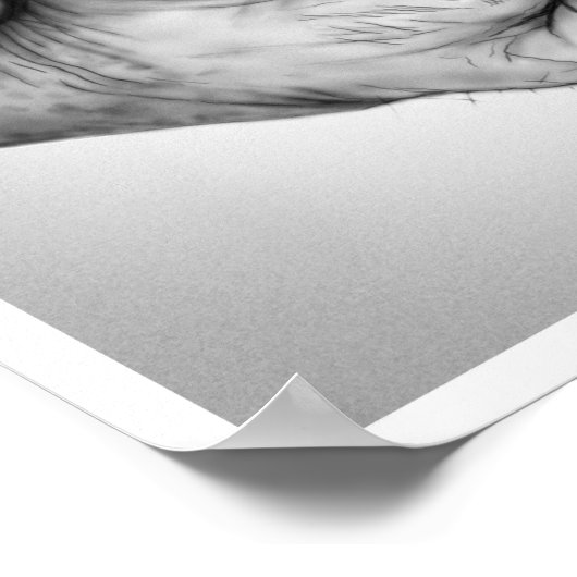 Embrace door Aleta Poster (Hoek)